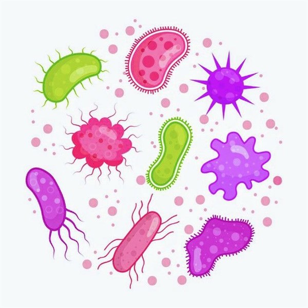 Green Xperts: Đánh Bại con trùng với Green Xperts: Sự Lựa Chọn Thông Minh Cho Gia Đình và Doanh Nghiệp