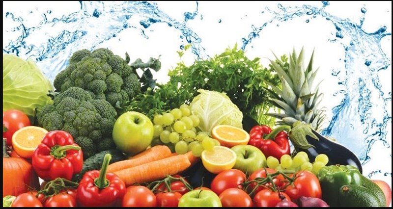 Các Tiêu chuẩn thực phẩm trong Kiểm soát côn trùng dịch hại