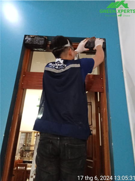 Phòng trừ mối bằng hoá chất lỏng nên làm như thế nào?