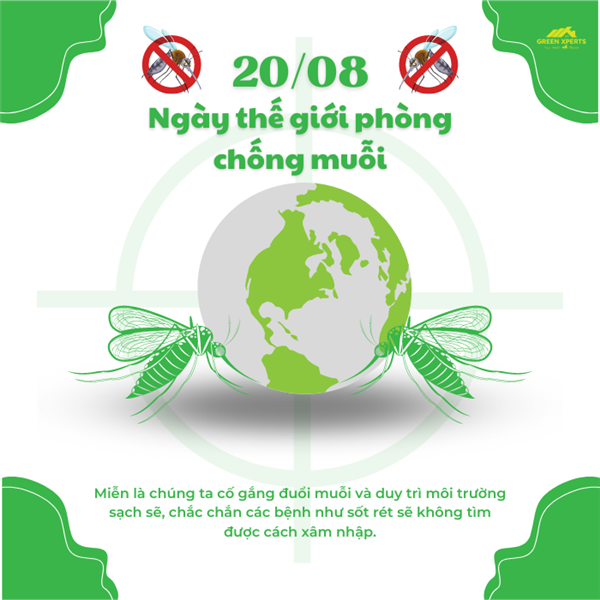 20/08 - Ngày cả thế giới phòng chống Muỗi