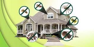 4 Cách giúp bạn ngăn ngừa Chuột và côn trùng vào mùa đông này