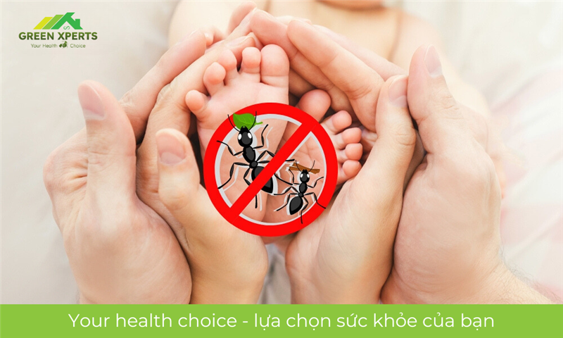 TOP 4 LOẠI THUỐC DIỆT KIẾN AN TOÀN CHO TRẺ NHỎ