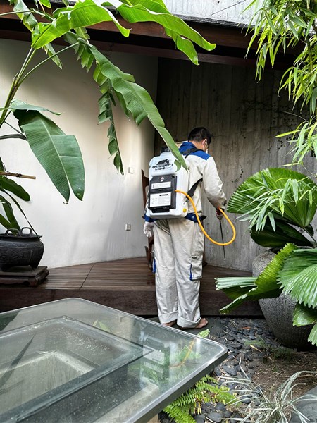 KINH NGHIỆM LỰA CHỌN CÔNG TY KIỂM SOÁT CÔN TRÙNG HIỆU QUẢ