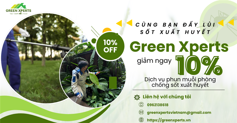 DỊCH SỐT XUẤT HUYẾT Ở HÀ NỘI VẪN ĐANG ‘NÓNG’. ĐỪNG CHỦ QUAN!