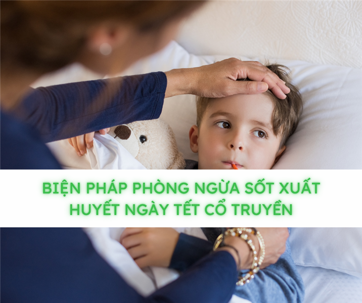 Biện Pháp Phòng Ngừa Sốt Xuất Huyết Ngày Tết Cổ Truyền - Bảo Vệ Sức Khỏe Gia Đình Bạn!