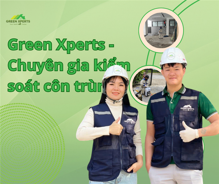 Một Mùa Xuân Cẩn Thận: Cảnh Giác Dị Ứng Với Côn Trùng - Viêm Da Do Côn Trùng!