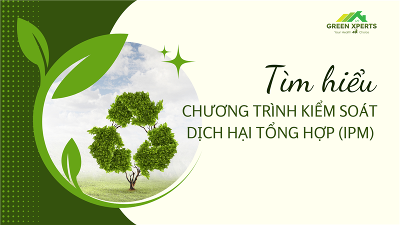 TÌM HIỂU CHƯƠNG TRÌNH QUẢN LÝ DỊCH HẠI TỔNG HỢP (IPM)