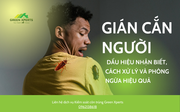 GIÁN CẮN NGƯỜI: DẤU HIỆU NHẬN BIẾT, CÁCH XỬ LÝ VÀ PHÒNG NGỪA HIỆU QUẢ