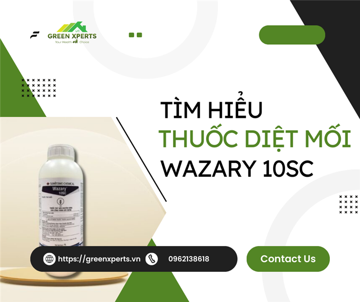 TÌM HIỂU TOÀN BỘ THÔNG TIN VỀ THUỐC DIỆT MỐI WAZARY 10SC- CHUYÊN DÙNG CHO CÔNG TRÌNH XÂY DỰNG