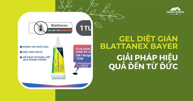 GEL DIỆT GIÁN BLATTANEX BAYER – GIẢI PHÁP HIỆU QUẢ ĐẾN TỪ ĐỨC