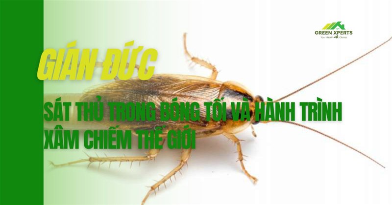 GIÁN ĐỨC – SÁT THỦ TRONG BÓNG TỐI VÀ HÀNH TRÌNH XÂM CHIẾM THẾ GIỚI