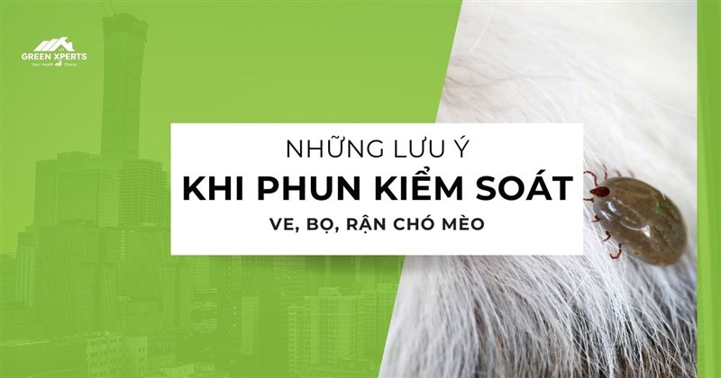 LƯU Ý KHI PHUN KIỂM SOÁT VE, BỌ, RẬN TRONG NHÀ CÓ NUÔI CHÓ MÈO