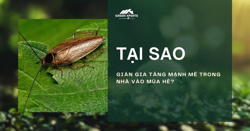 VÌ SAO GIÁN GIA TĂNG MẠNH MẼ TRONG NHÀ VÀO MÙA HÈ?