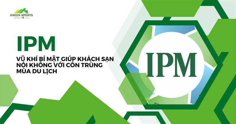IPM – VŨ KHÍ BÍ MẬT GIÚP KHÁCH SẠN NÓI KHÔNG VỚI CÔN TRÙNG MÙA DU LỊCH