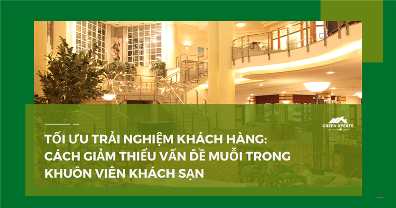TỐI ƯU TRẢI NGHIỆM KHÁCH HÀNG: CÁCH GIẢM THIỂU VẤN ĐỀ MUỖI TRONG KHUÔN VIÊN KHÁCH SẠN