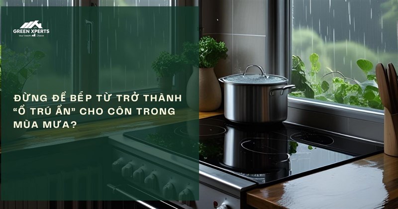 ĐỪNG ĐỂ BẾP TỪ TRỞ THÀNH “Ổ TRÚ ẨN” CHO CÔN TRÙNG MÙA MƯA