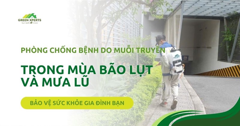 PHÒNG CHỐNG BỆNH DO MUỖI TRUYỀN TRONG MÙA BÃO LỤT VÀ MƯA LŨ – BẢO VỆ SỨC KHỎE GIA ĐÌNH BẠN