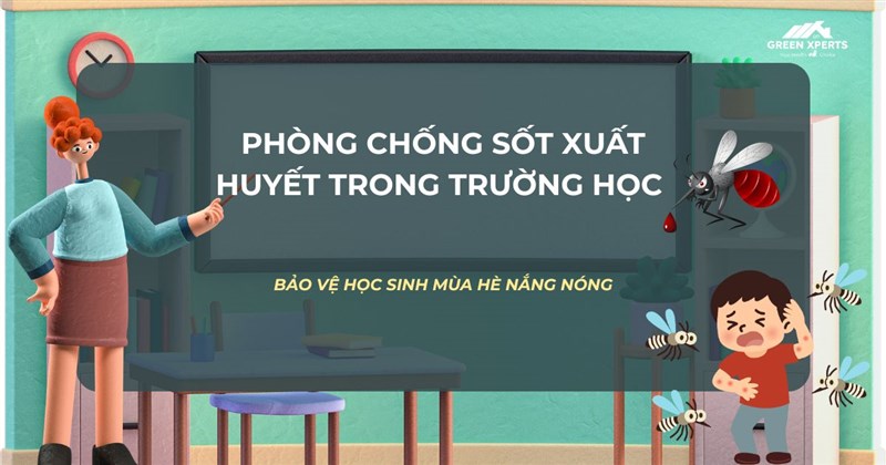 PHÒNG CHỐNG SỐT XUẤT HUYẾT TRONG TRƯỜNG HỌC – BẢO VỆ HỌC SINH MÙA HÈ NẮNG NÓNG