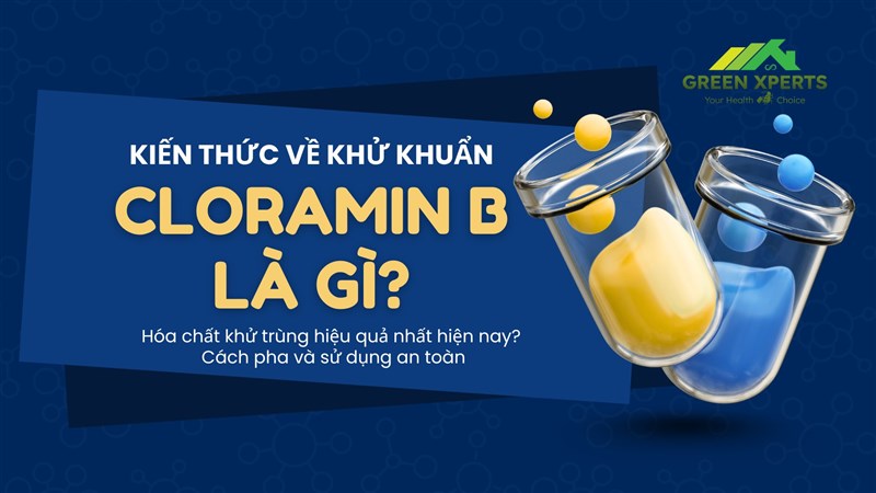 Cloramin B – Hóa chất khử trùng hiệu quả nhất hiện nay? Cách pha và sử dụng an toàn