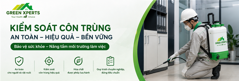 Những Lưu Ý Trước Và Sau Khi Phun Muỗi, Kiểm Soát Côn Trùng Cho Văn Phòng Và Nhà Xưởng