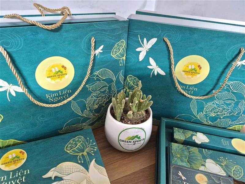 🌕 GREEN XPERTS TRAO TẶNG BÁNH TRUNG THU – GỬI TRỌN LỜI TRI ÂN ĐẾN KHÁCH HÀNG THÂN THIẾT
