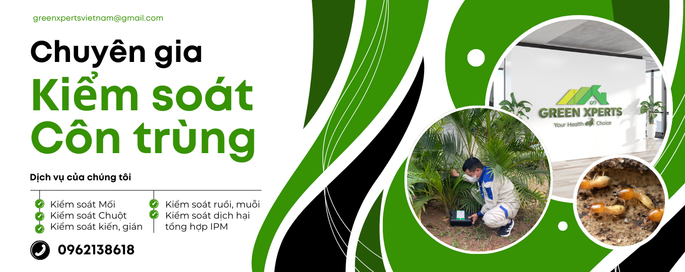 Chuyên gia kiểm soát côn trùng và sinh vật gây hại
