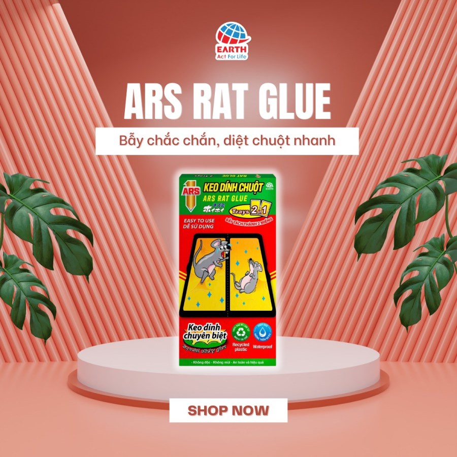 Keo dán chuột Ars Rat Glue
