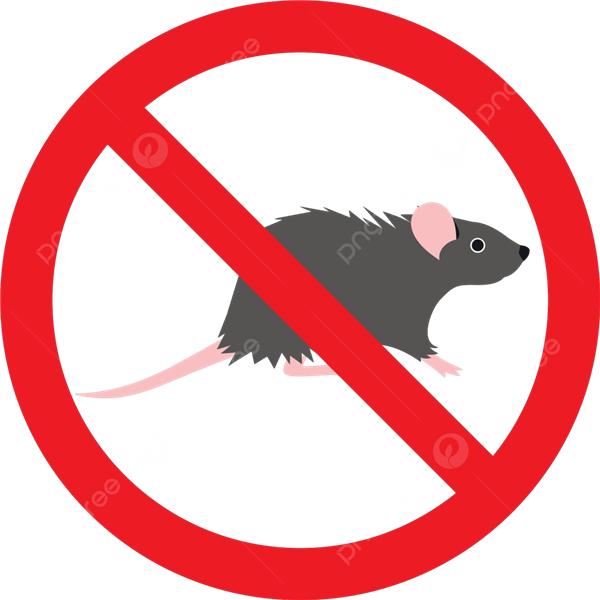 "An Toàn Tuyệt Đối: Dịch Vụ Diệt Chuột Chuyên Nghiệp từ Greenxperts Việt Nam"