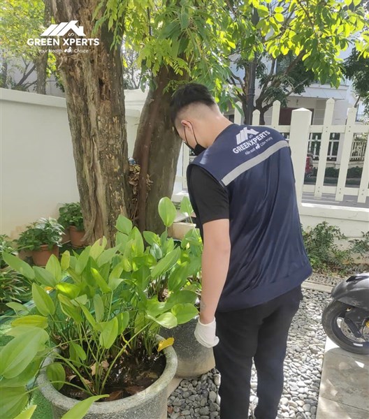 Quy trình phun thuốc diệt muỗi và côn trùng gây hại tại nhà riêng KĐT Vinhome Thăng Long An Khánh