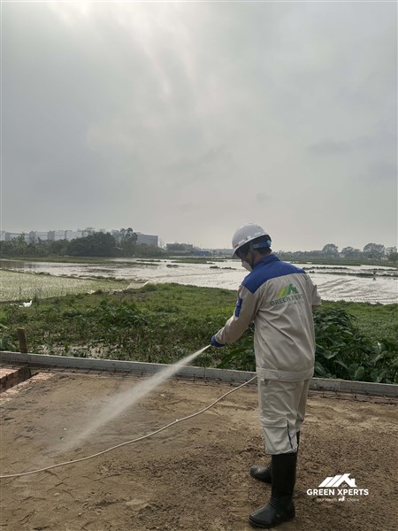 GIẢI PHÁP TOÀN DIỆN KIỂM SOÁT & CHỐNG MỐI CHO CÔNG TRÌNH XÂY DỰNG