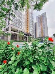 GREEN XPERTS XỬ LÝ GIÁN ĐỨC TẠI CĂN HỘ CHUNG CƯ STARLAKE – GIẢI PHÁP TRIỆT ĐỂ CHO KHÔNG GIAN SỐNG ĐẲNG CẤP