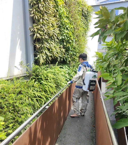 GREEN XPERTS TRIỂN KHAI DỊCH VỤ KIỂM SOÁT CÔN TRÙNG TẠI HOMESTAY – ĐẢM BẢO KHÔNG GIAN LƯU TRÚ AN TOÀN, SẠCH SẼ